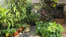 Jalan Punai (D14), Terrace #578496111